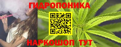 Альфа ПВП Пыть-Ях