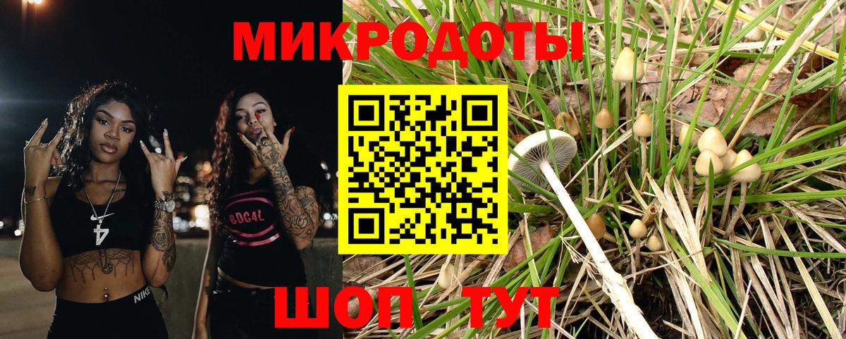 Галлюциногенные грибы MAGIC MUSHROOMS Сорочинск